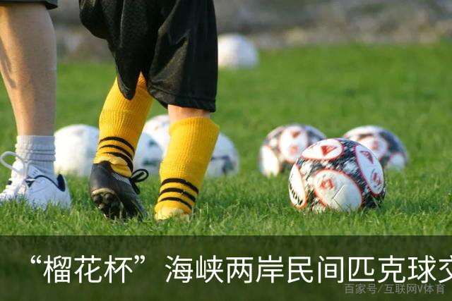 “榴花杯”海峡两岸民间匹克球交流赛在云南省玉溪开赛