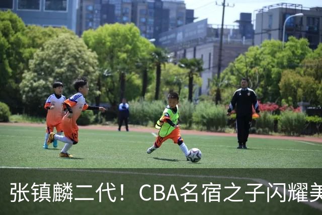 张镇麟二代！CBA名宿之子闪耀美高，收7份NCAA邀约，成男篮新希望