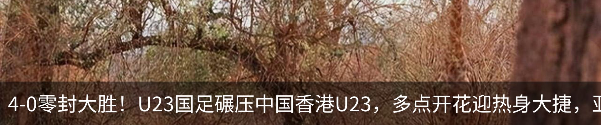 行业资讯